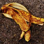 banana peel, banana, meal, fruit, healthy, yellow, brown spots, ripe, nature, close up, banana peel, banana peel, banana peel, banana peel, banana peel