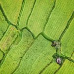 aerial view of green field during daytime