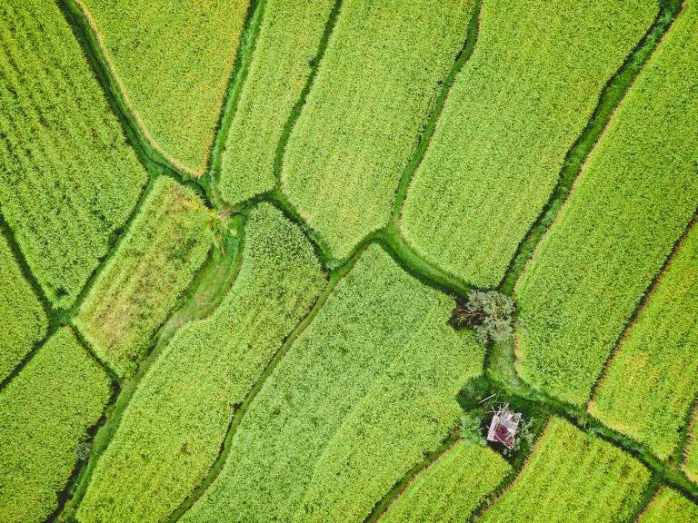 aerial view of green field during daytime