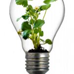 pengembangan TPST desa kota, pengelolaan sampah terpadu, ekonomi sirkular, lingkungan berkelanjutan, daur ulang desa kota