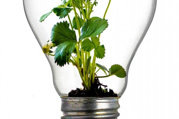 pengembangan TPST desa kota, pengelolaan sampah terpadu, ekonomi sirkular, lingkungan berkelanjutan, daur ulang desa kota