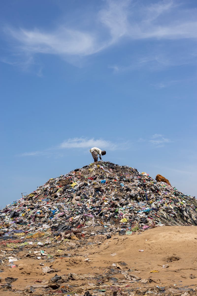 A man stands atop a mound of garbage under a bright blue sky, highlighting pollution.