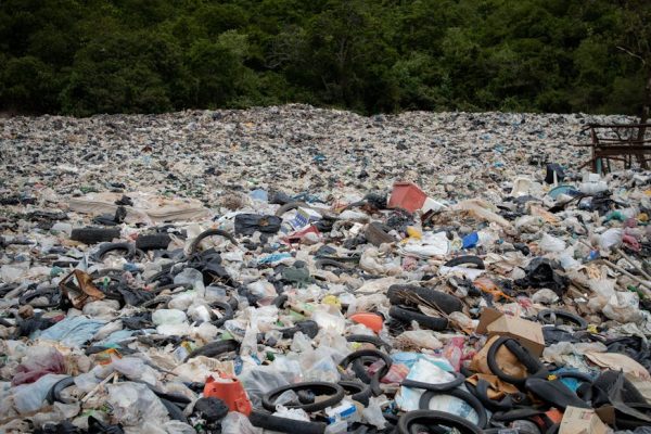 Landfill near Trees