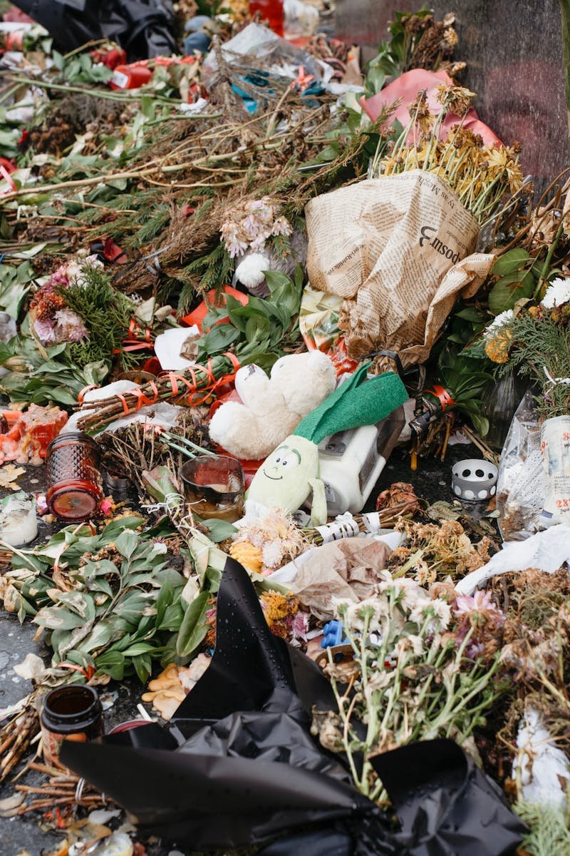 A chaotic mix of trash and debris, including plants, toys, and bottles, on a street in Novi Sad.