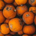 A vibrant collection of freshly harvested pumpkins from an English farm, showcasing natural autumn beauty.
