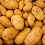 potatoes, vegetables, food, raw, healthy, nutrition, nutritious, organic, harvest, produce, close up, food photography, potatoes, potatoes, potatoes, potatoes, potatoes