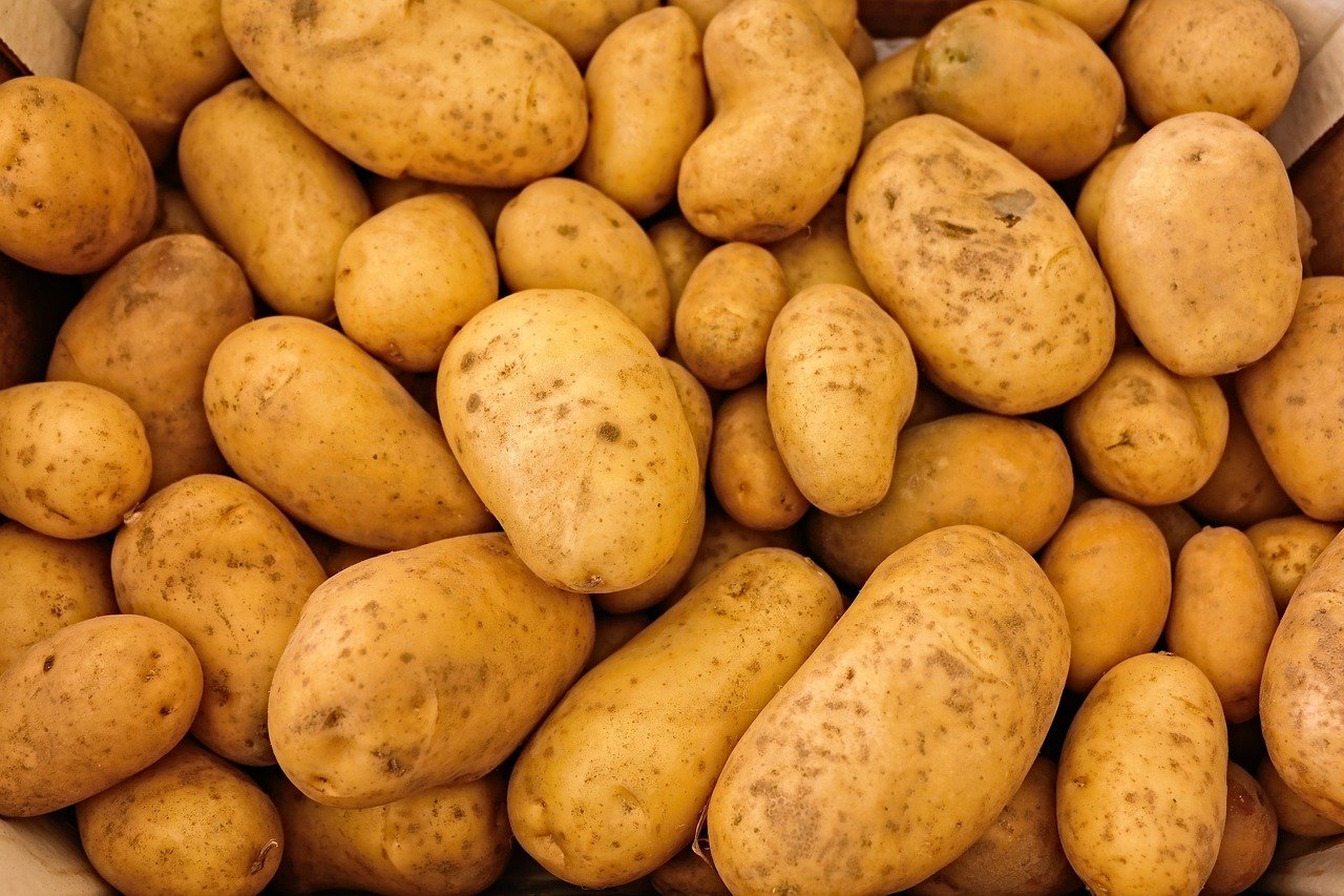 potatoes, vegetables, food, raw, healthy, nutrition, nutritious, organic, harvest, produce, close up, food photography, potatoes, potatoes, potatoes, potatoes, potatoes