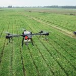 dji, drone, plant protection drone, farmland, agriculture, plant protection, t16, rice, in rice field, agras, farming, uav, drone, drone, drone, drone, drone