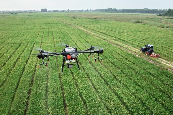 dji, drone, plant protection drone, farmland, agriculture, plant protection, t16, rice, in rice field, agras, farming, uav, drone, drone, drone, drone, drone