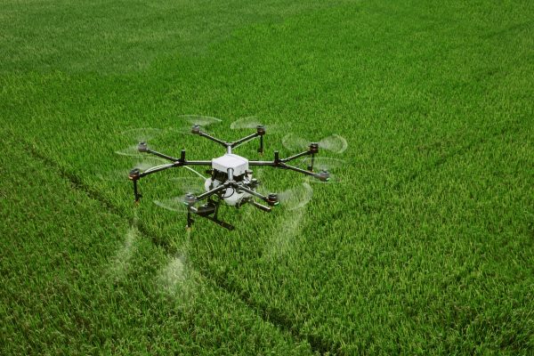 dji, farming, agriculture, drone, plant protection drone, plant protection, farmland, agras, dji agriculture, rice, in rice field, uav, mg-1s, farm, drone, drone, drone, drone, drone
