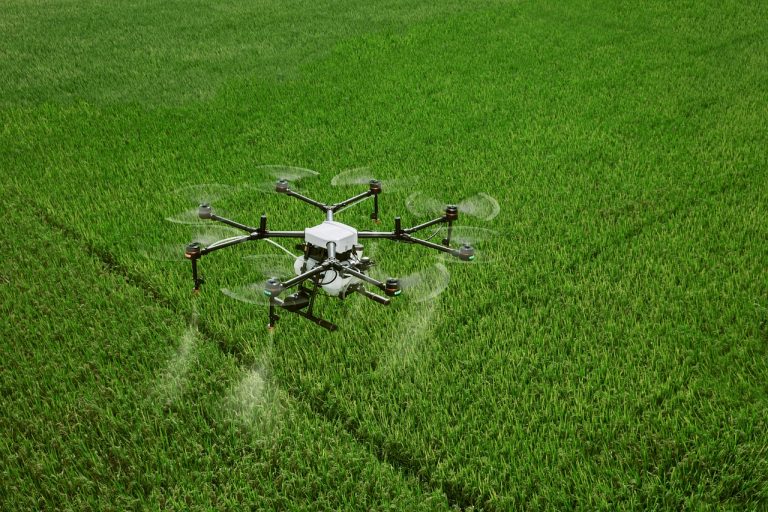 dji, farming, agriculture, drone, plant protection drone, plant protection, farmland, agras, dji agriculture, rice, in rice field, uav, mg-1s, farm, drone, drone, drone, drone, drone