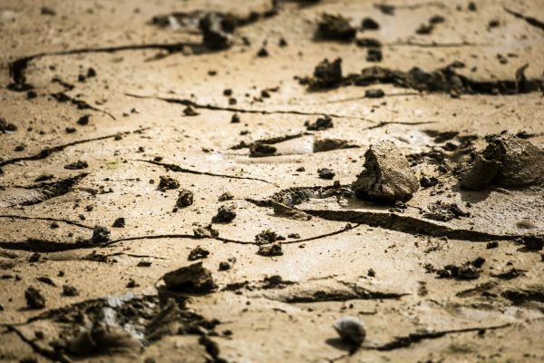 riverbed, mud, floor