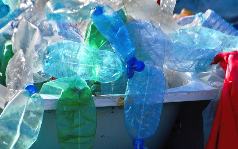 plastic, detritus, bulky, recycling, the environment, ecology, bottles, organic, disintegration, balayure, debris, waste, junk, residue, destruction, pollution, degradation, nature, protection, plastic, plastic, plastic, plastic, plastic, recycling