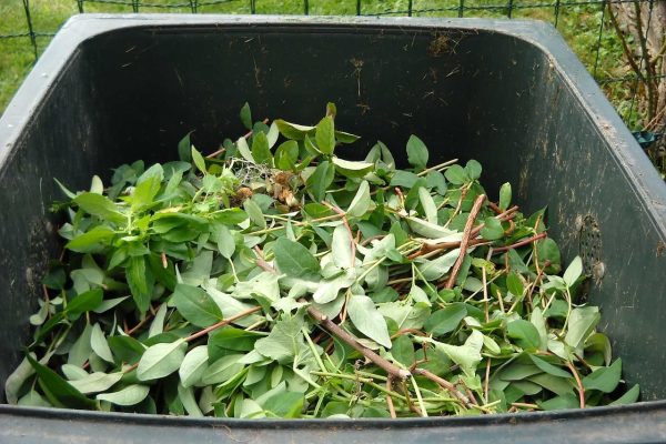 green waste, composting, recycling, green waste, green waste, green waste, green waste, green waste, composting, composting, composting, composting