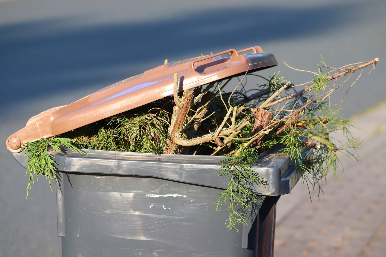 garbage can, green cut, brown ton