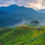 kemitraan koperasi dan petani, pemberdayaan ekonomi desa, koperasi pertanian, ekonomi berkelanjutan, kolaborasi petani