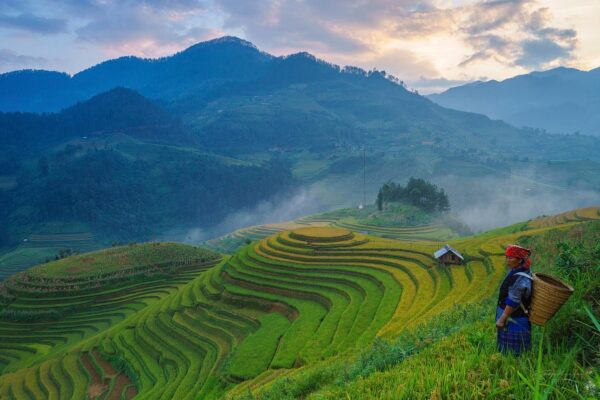 kemitraan koperasi dan petani, pemberdayaan ekonomi desa, koperasi pertanian, ekonomi berkelanjutan, kolaborasi petani