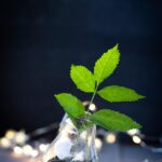 Produk Daur Ulang Envigo