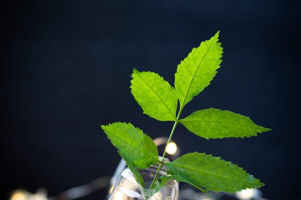 Produk Daur Ulang Envigo