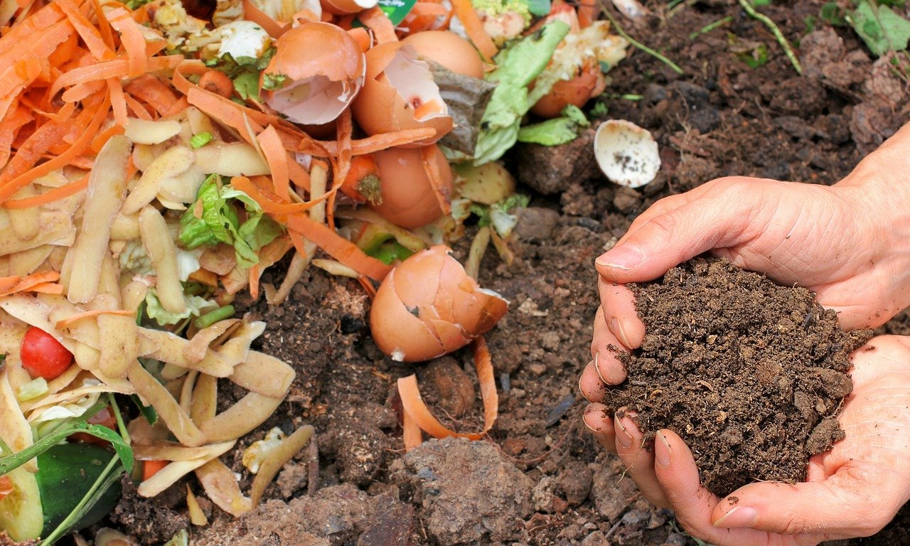 compost, ecology, waste, garden, nature, fertilizer, recycling center, organic, compost, compost, compost, compost, compost