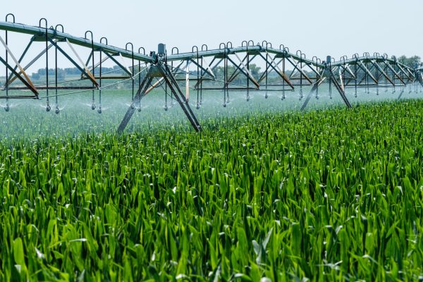 a sprinkler spraying water on a green field