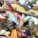 compost, fruit and vegetable waste, banana peel, compost, compost, compost, compost, compost