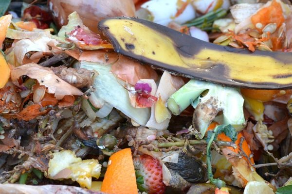 compost, fruit and vegetable waste, banana peel, compost, compost, compost, compost, compost
