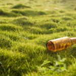 bottle, pollution, garbage, grass, lawn, nature, environmental protection, beer bottle, bottle, bottle, pollution, pollution, pollution, pollution, pollution, garbage, garbage, lawn, lawn, environmental protection, environmental protection, environmental protection, beer bottle