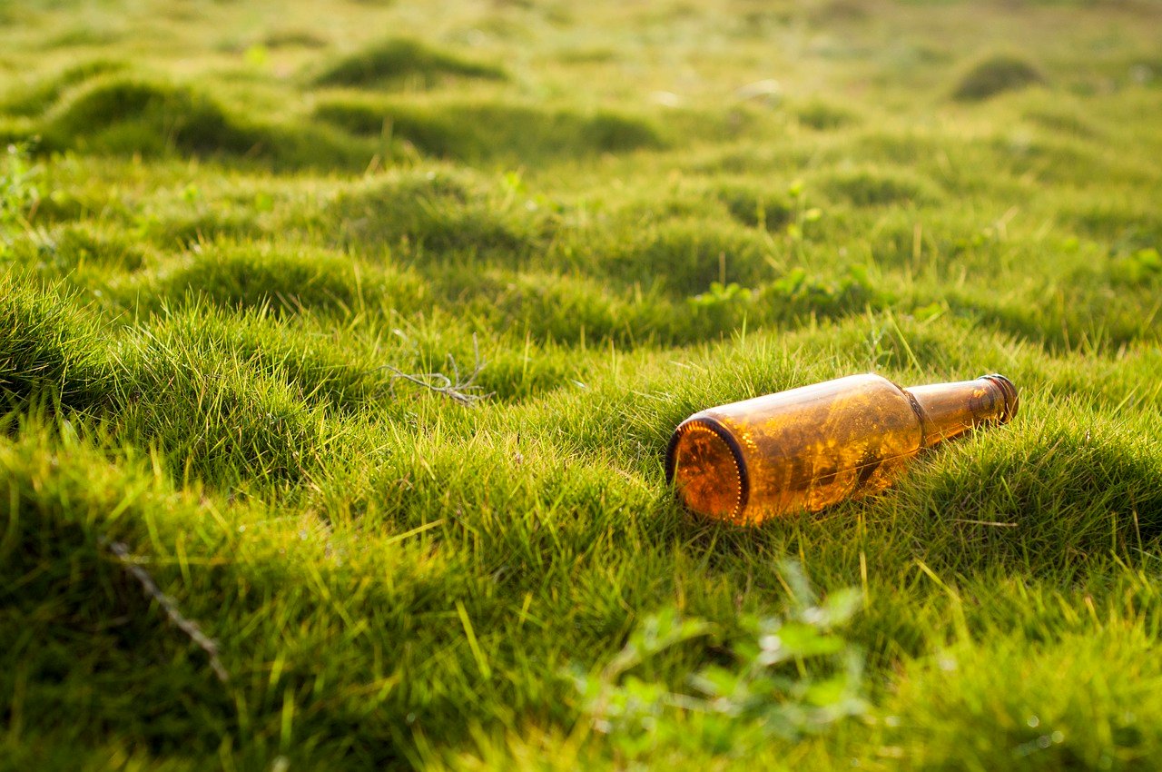 bottle, pollution, garbage, grass, lawn, nature, environmental protection, beer bottle, bottle, bottle, pollution, pollution, pollution, pollution, pollution, garbage, garbage, lawn, lawn, environmental protection, environmental protection, environmental protection, beer bottle