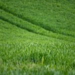 Mekanisasi Pertanian