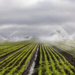 Smart Irrigation