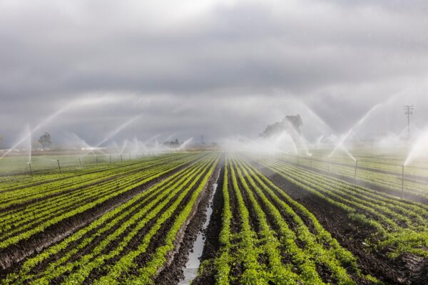 Smart Irrigation