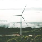 energi biomassa indonesia, investasi energi hijau, bisnis biomassa, peluang energi terbarukan, konsultasi energi biomassa