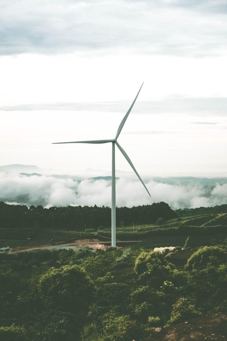 energi biomassa indonesia, investasi energi hijau, bisnis biomassa, peluang energi terbarukan, konsultasi energi biomassa