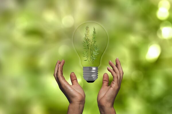 produk ramah lingkungan lokal, ekonomi hijau, usaha hijau berkelanjutan, inovasi daur ulang Indonesia, koperasi hijau desa