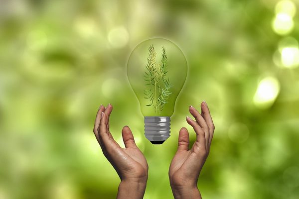 energy saving, energy transition, electricity, energy, family, nature reserve, environment, environmental protection, ecology, nature, ecologically, rethinking, sustainability, eco system, resources, help, response, light bulb, green, natural reserve, future, energy saving, sustainability, sustainability, sustainability, sustainability, sustainability, resources