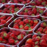 Logistik Pertanian Lebaran