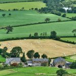 farming, agriculture, farm, crops, fields, greenery, rural, farming, agriculture, farm, farm, farm, farm, farm, rural