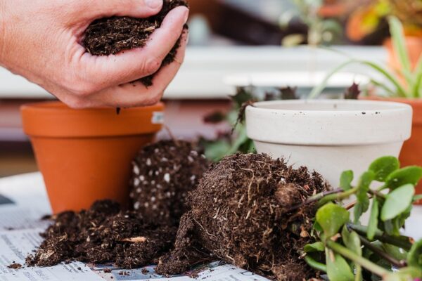 daur ulang limbah pertanian, ekonomi hijau, pengelolaan sampah organik, inovasi pertanian berkelanjutan, pupuk organik desa