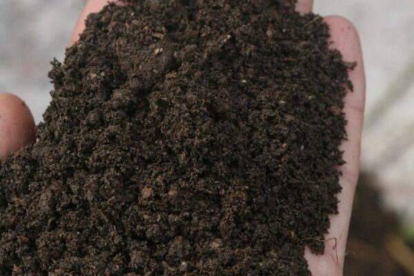 Kompos Urban Farming