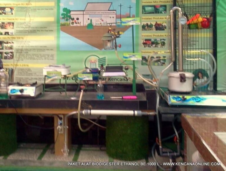 MANFAAT SARI BUAH FERMENTASI