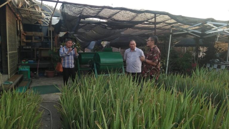 Organic Waste Management and Alevero Development Model