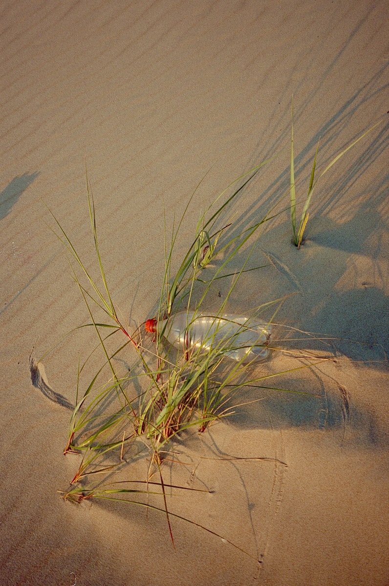 a bottle sitting on top of a sandy beach