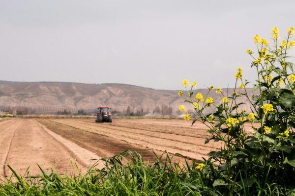 Jual Hasil Panen Lebaran