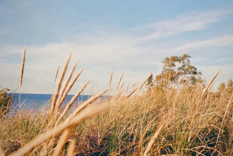 Konsultan Pengelolaan Sampah