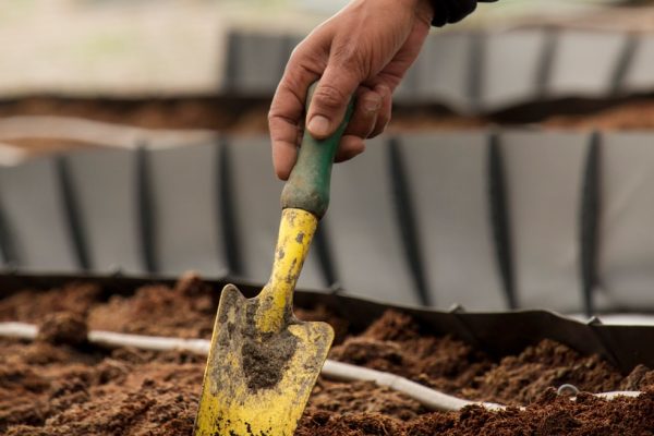 person holding yellow and green gardening shovel