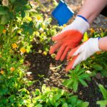 Pupuk Organik Bersertifikat