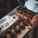 Kompos dari Limbah Dapur