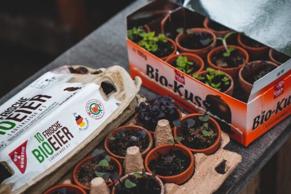 Kompos dari Limbah Dapur