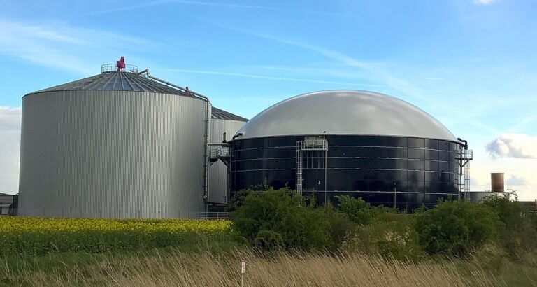Limbah Peternakan Biogas: Solusi Cerdas Mengubah Masalah Jadi Sumber Energi dan Keuntungan